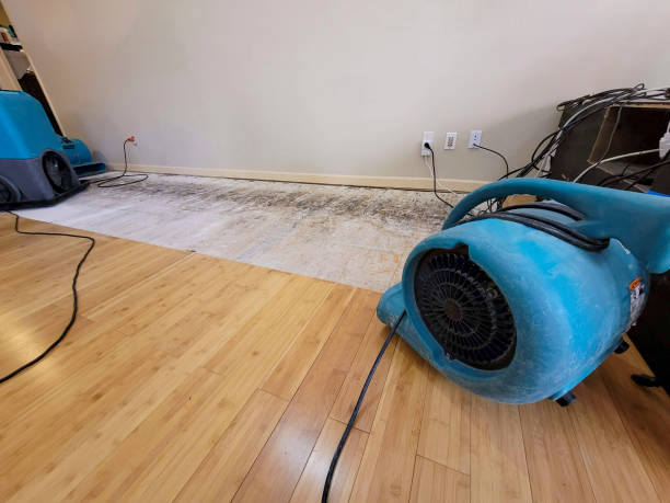 Professional Burst Pipe Water Damage technician working in Lakeside Marblehead, OH